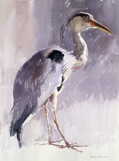 Grey Heron, 1987 by Lucy Willis
